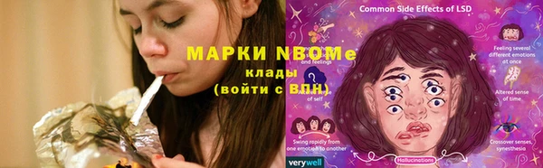spice Аркадак