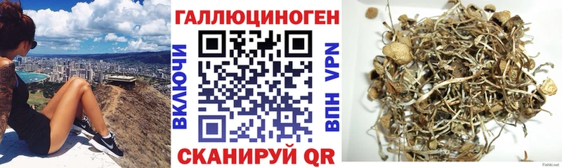 Галлюциногенные грибы прущие грибы  Купить закладки  Вольск 